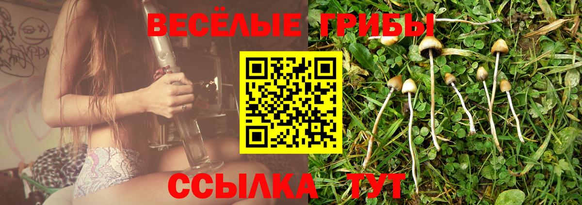 Псилоцибиновые грибы прущие грибы  Галлюциногенные грибы GOLDEN TEACHER  Георгиевск  Вход с VPN 