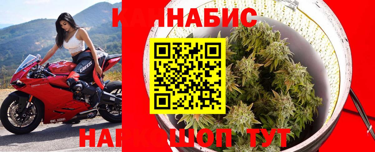 МАРИХУАНА гибрид Георгиевск